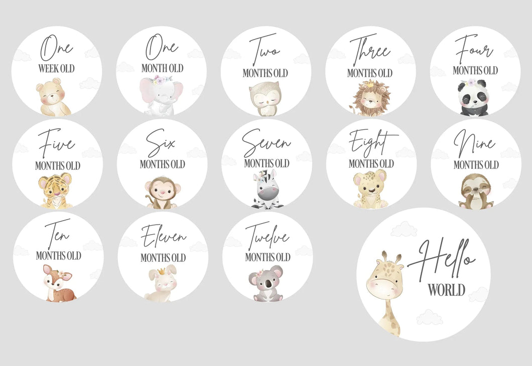 Baby Milestone Disc Set- Cute Animals